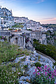 Wildblumen auf den Klippen, während die Dämmerung einen violetten Farbton über das Stadtbild der antiken Höhlenwohnungen der Sassi di Matera mit den Felsenkirchen auf der Hügelkuppe wirft; Matera, Basilikata, Italien.