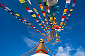 Colorful prayer flags hanging from the golden spire of the largest Tibetan Buddhist stupa in Nepal at Boudhanath superb of Kathmandu; Kathmandu, Kathmandu, Nepal