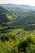 Das Morilor-Tal im Trascaului-Gebirge; Salciua, Sub Piatra, Transsilvanien, Rumänien.