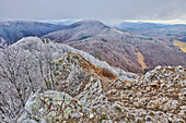 Verschneite Rotbuche (Fagus sylvatica) auf dem Gipfel des Berges Vapec im Strazov-Gebirge mit Blick auf die Landschaft; Kleine Fatra, Westkarpaten, Horna Poruba, Slowakei.