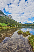 Grassy shore surrounding Lake Hintersee in the Bavarian Alps; Berchtesgadener Land, Ramsau, Bavaria, Germany