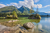 Norway spruce (Picea abies) trees on small, rock islands in the clear waters of Lake Hintersee, Bavarian Alps; Berchtesgadener Land, Ramsau, Bavaria, Germany