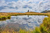 Spiegelung von Wolken in einem Teich auf der Sch?ttenh?he mit einem einsamen Nadelbaum am Horizont in den Bergen oberhalb von Zell am See, Kaprun; Bundesland Salzburg, Österreich