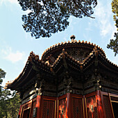 Imperial Garden Of The Forbidden City; Beijing, China
