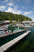 Das Dorf und die Docks von Telegraph Cove auf Vancouver Island; British Columbia, Kanada