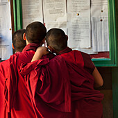 Monks Looking At Posted Papers At Wangdue Dzong Monastery; Wangdue Phodrang District Bhutan