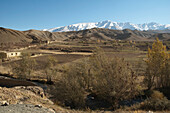 Fields In Shekh Ali, Parwan Province, Afghanistan