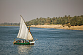 Menschen in einer alten Feluke segeln auf dem Nil; Ägypten