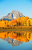 USA, Grand Teton National Park; Wyoming, Mount Moran in der Ferne, Landschaft der Oxbow Bend am Snake River