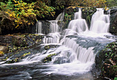 USA, Coast Range Mountains; Oregon, Alsea Falls Cascading Through Forest