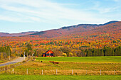 Rote Scheune in der späten Nachmittagssonne im Herbst; Sutton Quebec Kanada