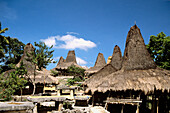 Indonesien, Traditionelle Häuser mit megalithischen Monumenten; Insel Sumba.