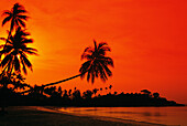 Indonesien, Bintan Island Resort, Strand bei Sonnenuntergang.