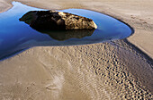 USA, Kalifornien, Felsen in einer von Sand umgebenen Wasserlache; Morro Bay.