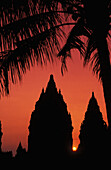 Indonesien, Java, Prambanan, Silhouette des Tempels bei Sonnenuntergang mit Palme