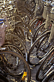 China, Shanghai, Bicycle Parking Lot, Many Wheels Face Each Other