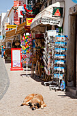 Ein Hund liegt auf dem Gehweg vor den Geschäften entlang der Straße; Lagos Algarve Portugal