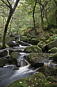 Wasser fließt über moosbewachsene Felsen im Peak-District-Nationalpark; Derbyshire England