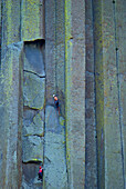 Climbers On The Colorful Wall Of Devils Tower National Monument; Wyoming United States Of America