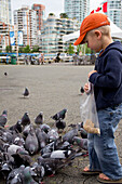 Ein Junge füttert die Vögel; Vancouver British Columbia Kanada