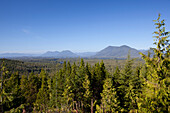 Radar Hill Aussichtspunkt mit Blick auf die Berge und den gemäßigten Regenwald im Pacific Rim National Park bei Tofino; British Columbia Kanada