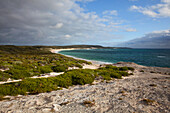 Der Strand an der Hamelin Bay; Westaustralien Australien