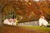 Häuser mit Bäumen in Herbstfarben; Northumberland England