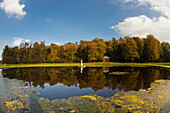 Trees Reflected In The Tranquil River Water; Studley North Yorkshire England