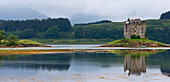 Schlossstalker; Port Appin Argyll Schottland