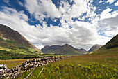 A Stone Wall Through The Fields With Mountains In The Distance; Glencoe Argyll Scotland