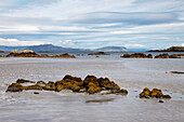 Felsen im Wasser entlang der Küste; Argyll Schottland