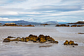 Rocks In The Water Along The Coast; Argyll Scotland