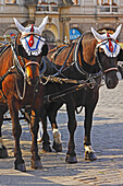 Touristisches Pferd und Wagen warten auf dem Altstädter Ring; Prag Tschechische Republik