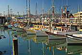 Fishermen's Terminal; San Francisco Kalifornien Vereinigte Staaten Von Amerika