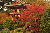 Japanischer Teegarten im Golden Gate Park; San Francisco Kalifornien Vereinigte Staaten Von Amerika