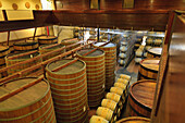Barrels At The Diamond Mountain Ranch Vineyard; Napa Area California United States Of America