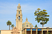 Das Menschenmuseum und der kalifornische Glockenturm im Balboa Park; San Diego, Kalifornien, Vereinigte Staaten von Amerika