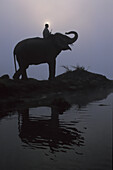 Ein Elefant mit seinem Mahout steht am Rande des Rapti-Flusses in der Nähe des Sauraha- und Chitwan-Nationalparks; Nepal.