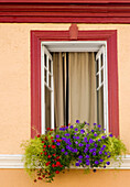 Bunte Blumen in einem Blumenkasten in einem offenen Fenster; Quebec Stadt Quebec Kanada