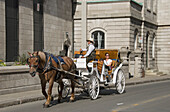 Woman Taking A Carriage Ride