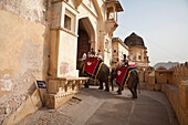 Touristen reiten auf einem Elefanten zum Amber Fort, Rajasthan, Indien