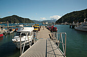 Boote im Hafen von Picton; Picton, Neuseeland