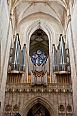 Das Ulmer Münster mit dem Westende und der Orgel; Ulm Baden-Wurtenburg Deutschland