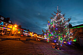 Ein mit bunten Lichtern weihnachtlich geschmückter Baum im Freien; Belford Northumberland England