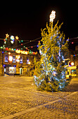 An Outdoor Tree Decorated In Lights For Christmas; Alnwick Northumberland England