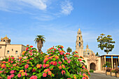 Flowering Bushes And Buildings At The Museum Of Man With The California Bell Tower At Balboa Park; San Diego California United States Of America