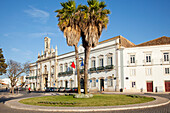 Palmen in der Mitte eines Kreisverkehrs mit einem weißen Gebäude dahinter; Faro Algarve Portugal
