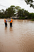 Männer begutachten ein überschwemmtes Gebiet; Brisbane Queensland Australien