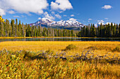 Herbstfarben entlang des Scott Lake und der Three Sisters Wilderness in den Oregon Cascades; Oregon Vereinigte Staaten Von Amerika