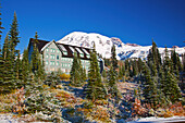 Frischer Schnee auf Herbstfarben fügen Schönheit zu Mt. Rainier hinzu; Washington Vereinigte Staaten Von Amerika